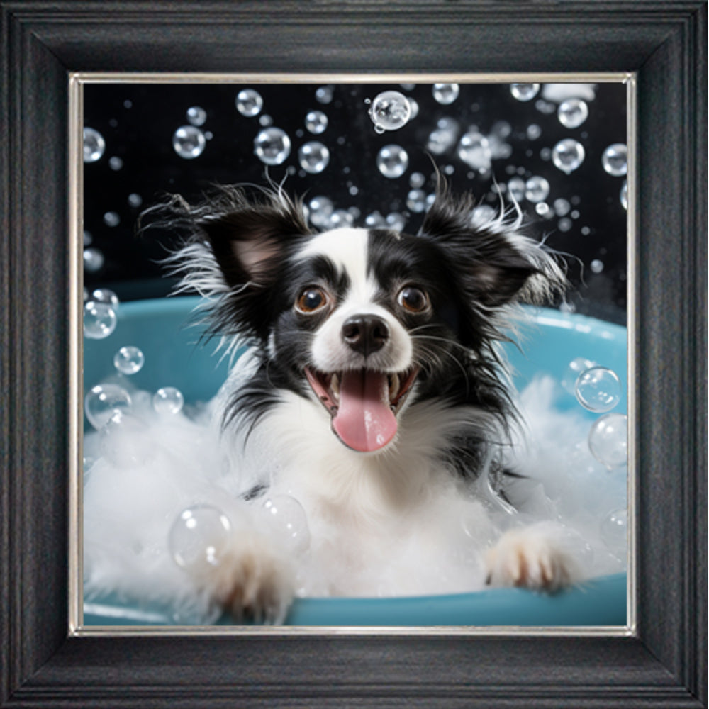 Buy the Black and White Long Haired Chihuahua Liquid Wall Art from Wall of Frame and enjoy FREE DELIVERY