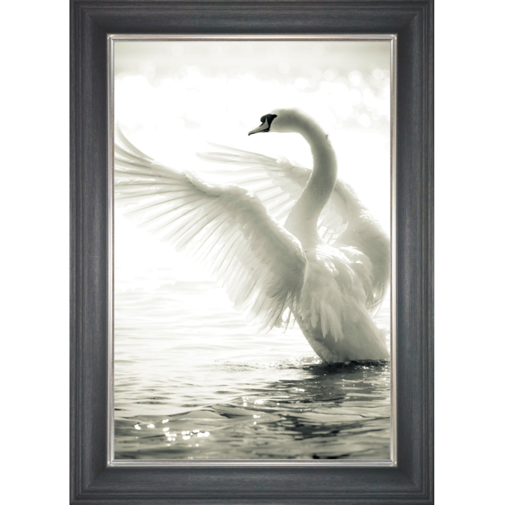 Swan Takeoff Liquid Wall Art